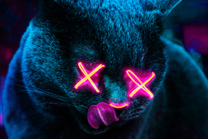 Neon Cat Wallpaper