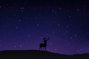 Night Sky And Reindeer (1024x768) Resolution Wallpaper