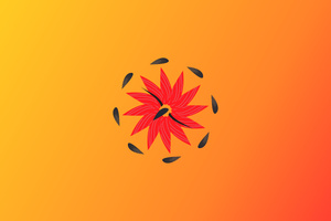 Orange Circle (1440x900) Resolution Wallpaper