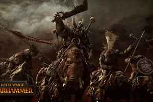 Orcs Total War Warhammer