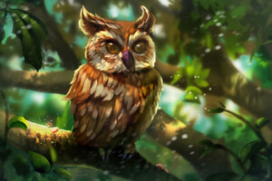 Owl Colorful Art (1400x900) Resolution Wallpaper
