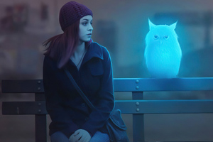 Owl Friend (2560x1440) Resolution Wallpaper