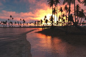 Palm Trees Sunset Sea Wallpaper