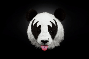 Panda Dark 4k Wallpaper