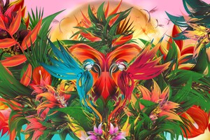 Parrot Colors (2880x1800) Resolution Wallpaper