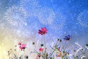 Petals And Festivities Vibrant Floral Celebrations (2560x1024) Resolution Wallpaper
