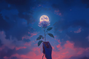 Petals Of The Moon Wallpaper