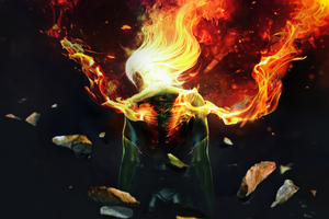 Phoenix Ignited Majesty (3840x2160) Resolution Wallpaper