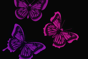 Pink Butterflies Artistic