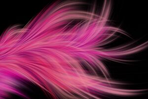 Pink Fractal Abstract Feather