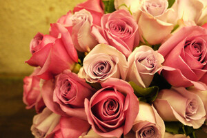 Pink Roses Bouquet Wallpaper