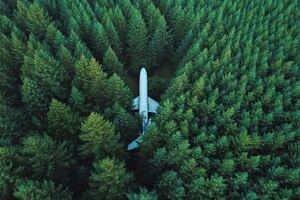 Plane In Middle Of Forest 4k (2048x2048) Resolution Wallpaper