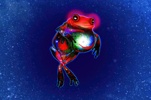 Psychedelic Frog (2048x1152) Resolution Wallpaper
