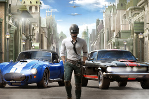 Pubg Mobile Shelby Gt500 And 427 Cobra (2048x1152) Resolution Wallpaper