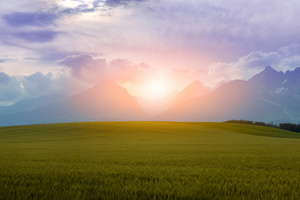 Quiet Countryside Soft Field Landscape Haze (2560x1600) Resolution Wallpaper