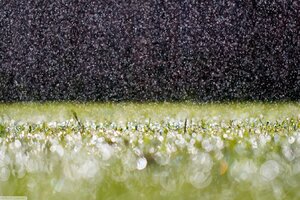 RainDrops On Grass (1600x900) Resolution Wallpaper