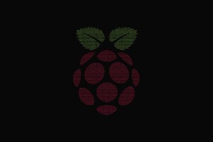 Raspberry Pi Computer Logo