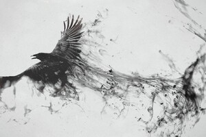 Raven Bird Art Wallpaper