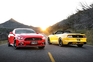 Red And Blue Ford Mustang (1336x768) Resolution Wallpaper