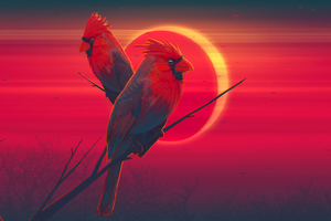 Red Birds Eclipse 4k (2560x1080) Resolution Wallpaper