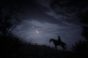 Red Dead Redemption2 Silhouette