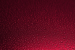 Red Drops Texture 5k Wallpaper