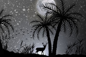 Reindeer Dark Night Moon Minimalist