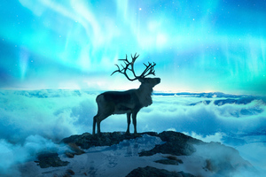 Reindeer Fantasy Art