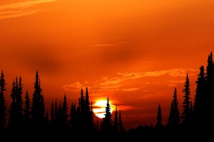 Relaxing Orange Sunset Evening 4k Wallpaper
