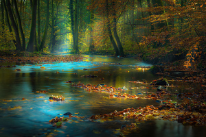 River Sunbeam Autumn 4k Wallpaper
