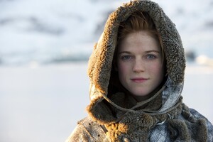Rose Leslie In Game Of Thrones (1024x768) Resolution Wallpaper