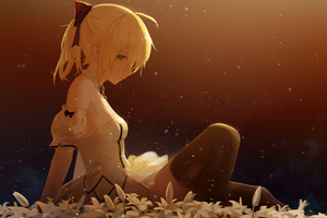 Saber Lily Fate Grand Order