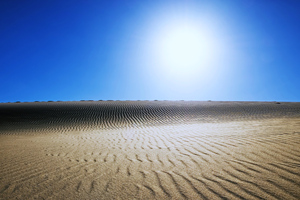 Sahara Desert 5k
