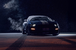 Shelby In The Snow (320x240) Resolution Wallpaper