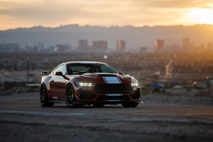 Shelby Super Snake (320x240) Resolution Wallpaper