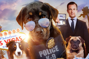 Show Dogs 2018 (320x240) Resolution Wallpaper