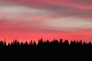 Side Of Lost Lake At Sunset (3440x1440) Resolution Wallpaper