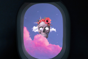 Skull From Flight (5120x2880) Resolution Wallpaper