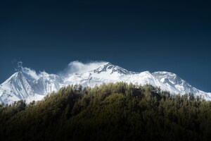 Snow Covered Mountain And Forest Under A Blue Sky Wallpaper