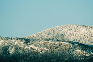 Snow Draped Trees Drammen Norway (1024x768) Resolution Wallpaper