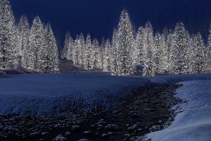Snow Trees (2048x1152) Resolution Wallpaper