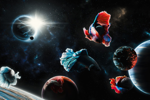 Space Fish Wallpaper
