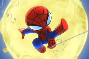 Spider Boy