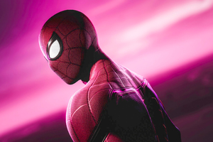 Spider Man Dazzling Presence (2048x1152) Resolution Wallpaper