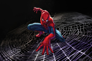 Spider Man Dynamic Arsenal (2560x1024) Resolution Wallpaper