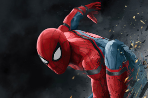 Spider Man Home Coming Wallpaper