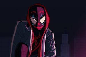Spider Man Hoodie Boy (2048x2048) Resolution Wallpaper