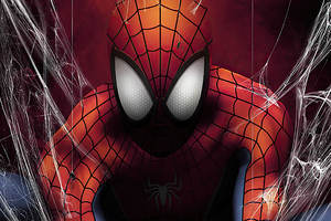 Spider Man In Web