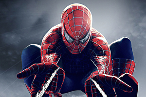 Spider Man Spiderweb (2932x2932) Resolution Wallpaper