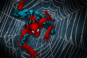 Spider Man Web (1152x864) Resolution Wallpaper